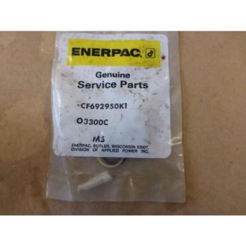 Enerpac Hydraulic Service Parts Swivel Fitting CF692950K1 Pump