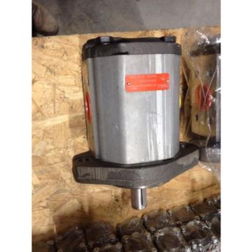 HYDRAULIC GEAR MOTOR ARGOHYTOS ARGO HYTOS GP1Q82RK7FOB 1709000 Pump