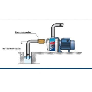 Pedrollo 0.75HP MultiStage Centrifugal  3CRm100N  HABLAMOS ESPANOL Pump