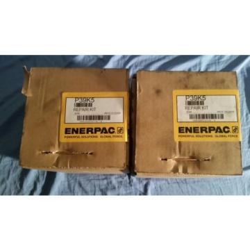 enerpac P39K5 repair kit Pump