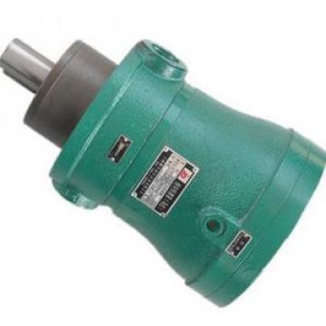 100MCM14-1B Series Axial Piston Motor