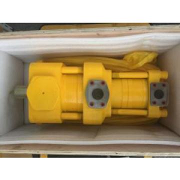 Sumitomo QT4322-31.5-6.3F Double Gear Pump