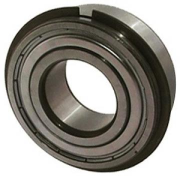 NTN 6009ZZNR/2A Ball Bearings