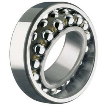 SKF ball bearings Germany 2204 E-2RS1TN9