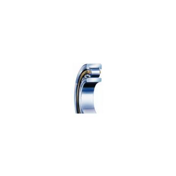 SKF N 203 ECP