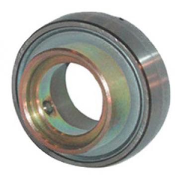 INA GRAE25-NPP-B Insert Bearings Spherical OD