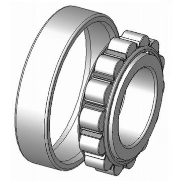 SKF NU 1036 M/C4VA301