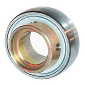 INA RAE35-NPP-B Insert Bearings Spherical OD