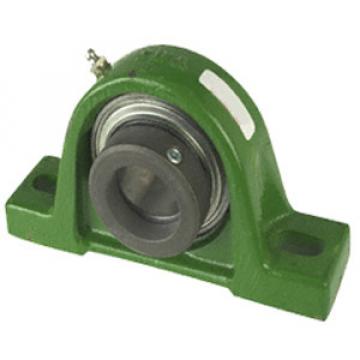 INA RASE20-N Pillow Block Bearings