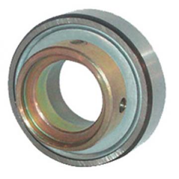 INA RAE40-NPP-NR Insert Bearings Cylindrical OD