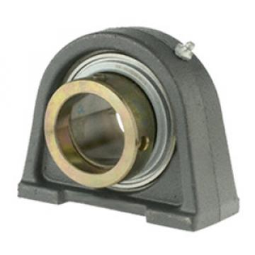 INA RSHE25-N Pillow Block Bearings