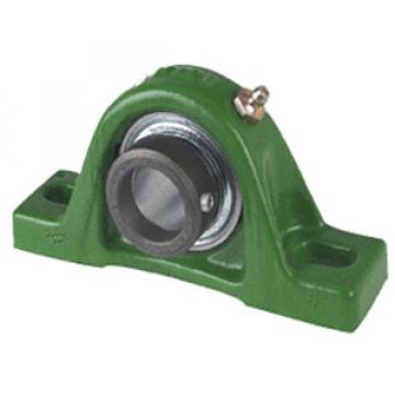 INA RAK20 Pillow Block Bearings