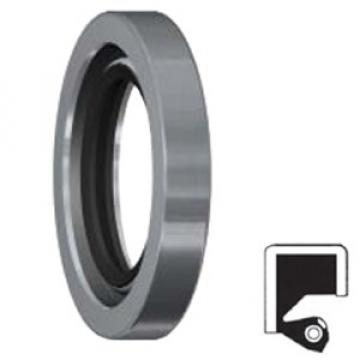 SKF 1000111 Oil Seals