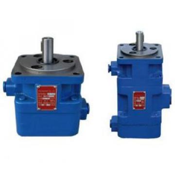 YB1 Type Double Vane Pump YB1-80/6.3