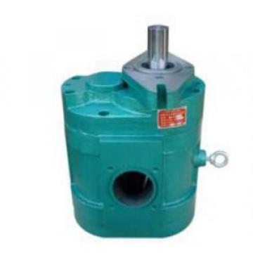 DCB-B900 Low Noise Large Flow Gear Pump