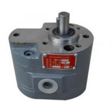 CB-B Dual Gear Pump CB-B2.5/10