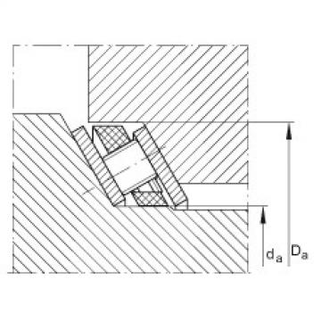 Axial angular contact roller bearings - AXS145169