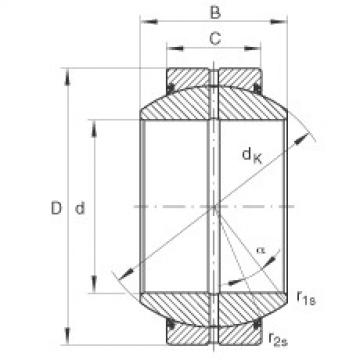 Radial spherical plain bearings - GE100-FO-2RS