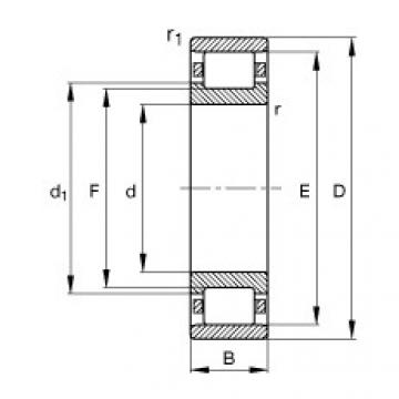 Cylindrical roller bearings - N213-E-XL-TVP2