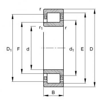 Cylindrical roller bearings - NJ203-E-XL-TVP2