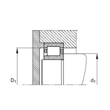 Cylindrical roller bearings - NJ204-E-XL-TVP2