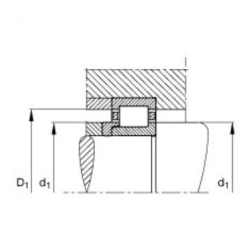 Cylindrical roller bearings - NJ206-E-XL-TVP2 + HJ206-E