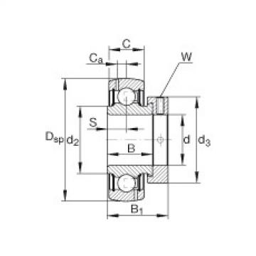 Radial insert ball bearings - GRA104-NPP-B-AS2/V