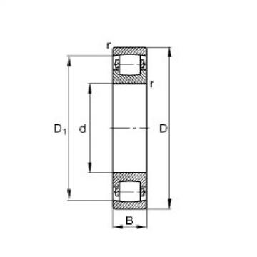 Barrel roller bearings - 20211-TVP