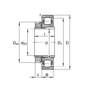 Barrel roller bearings - 20209-K-TVP-C3 + H209