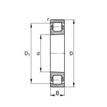 Barrel roller bearings - 20213-K-TVP-C3