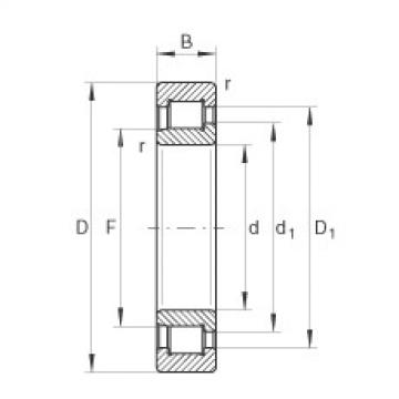 Cylindrical roller bearings - SL192311-XL