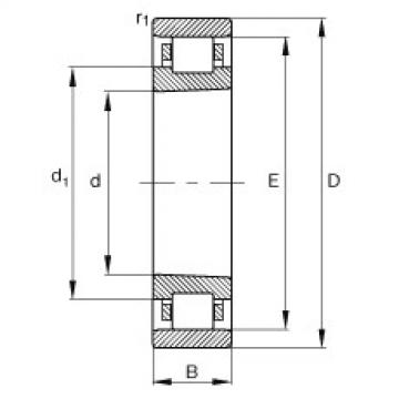 Cylindrical roller bearings - N1010-K-M1-SP