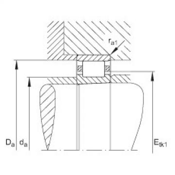 Cylindrical roller bearings - N1021-K-M1-SP