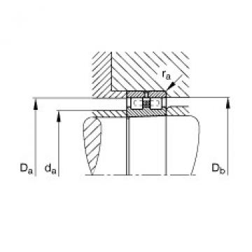 Cylindrical roller bearings - NN3006-AS-K-M-SP