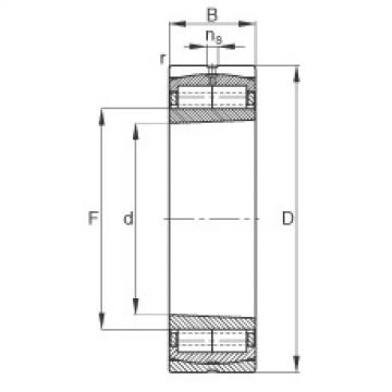 Cylindrical roller bearings - F-800479.ZL-K-C5