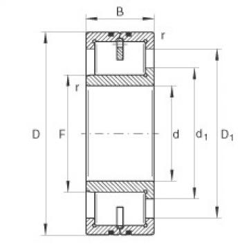 Cylindrical roller bearings - LSL192320-TB-XL