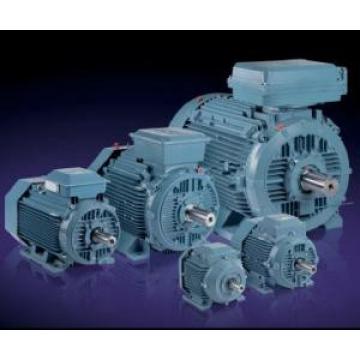 ABB M3BP100L6 Motors