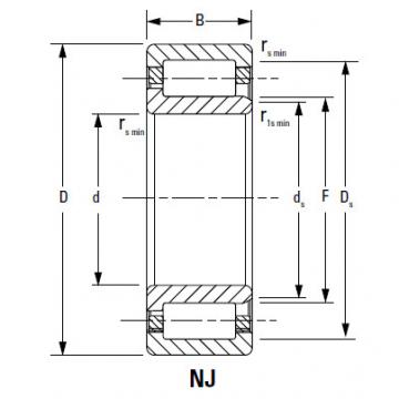 Bearing NJ2234EMA