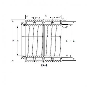 Bearing 650ARXS2841 723RXS2841