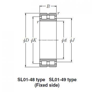 Bearing SL02-4930