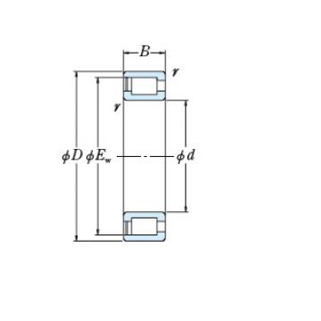 Bearing NCF2948V