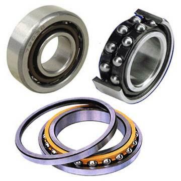 260x340x38 Angular Contact Excavator Double Row Ball Bearing 21334