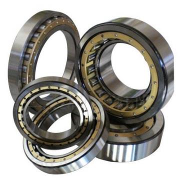 NJ218EG Nachi Roller Nylon Cage Japan 90mm x 160mm x 30mm Cylindrical Bearings