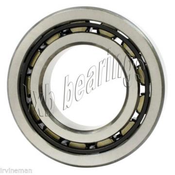 NJ204 20x47x14 20mm/47mm/14mm Cylindrical Roller Bearings