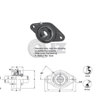 40 mm 2-Bolts Flange Units Cast Iron HCFL208 Mounted Bearing HC208 + FL208