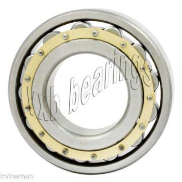 N202M Cylindrical Roller Bearing 15x35x11 Cylindrical Bearings 17503