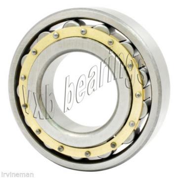 N202M Cylindrical Roller Bearing 15x35x11 Cylindrical Bearings 17503