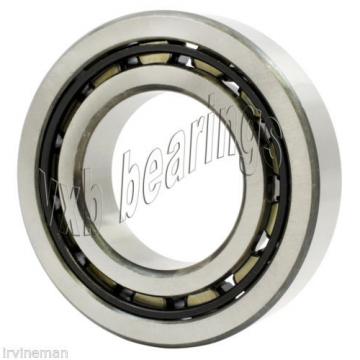 NJ203M Cylindrical Roller Bearing 17x40x12 Cylindrical Bearings 17479