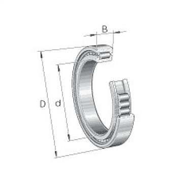 SL182917-B-XL-C3 INA Cylindrical roller bearings SL1829, semi-locating bearing,