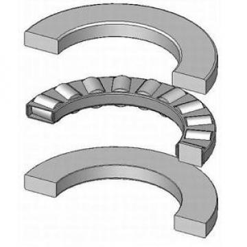 81116TN 80x105x19mm SKF Quality Cylindrical Roller Thrust Bearing